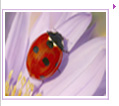 �w����{����~����:�R��,�e��ֳ̧t..