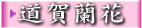 �D�P����-�զX�֪�..�����e��.