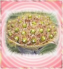 21�����數�J�O-�R��-�q��-����-�e��-�ڭn�q��I