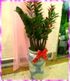 �ݭ�o�j�}�B�֪�Ϥ�..
