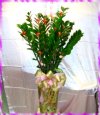 �ݭ�o�j�}�B�֪�Ϥ�..