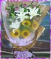 �ʦX�g��-���A��j�Ϥ�~