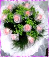 �K�����R (�S���w�q�~)-���A��j�Ϥ�~